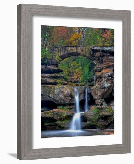 Rhynoodle-Jim Crotty-Framed Photographic Print