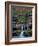 Rhynoodle-Jim Crotty-Framed Photographic Print