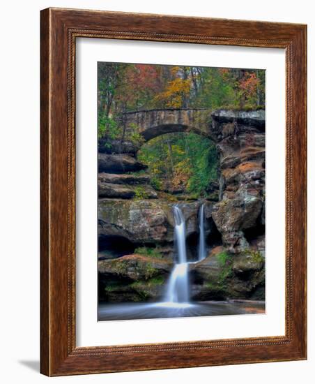 Rhynoodle-Jim Crotty-Framed Photographic Print