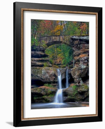 Rhynoodle-Jim Crotty-Framed Photographic Print