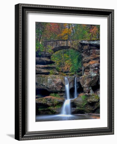 Rhynoodle-Jim Crotty-Framed Photographic Print