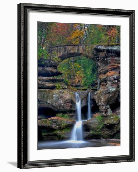 Rhynoodle-Jim Crotty-Framed Photographic Print