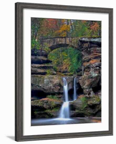 Rhynoodle-Jim Crotty-Framed Photographic Print