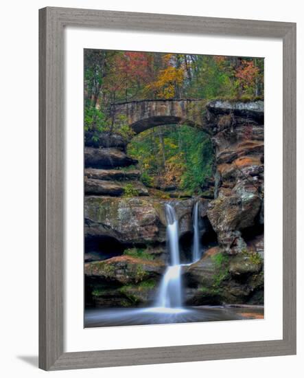 Rhynoodle-Jim Crotty-Framed Photographic Print