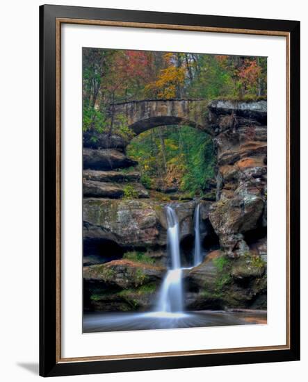 Rhynoodle-Jim Crotty-Framed Photographic Print