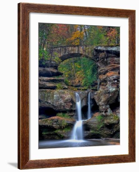 Rhynoodle-Jim Crotty-Framed Photographic Print