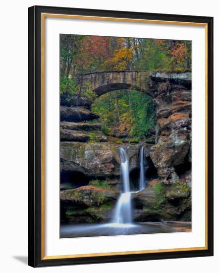 Rhynoodle-Jim Crotty-Framed Photographic Print