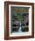 Rhynoodle-Jim Crotty-Framed Photographic Print