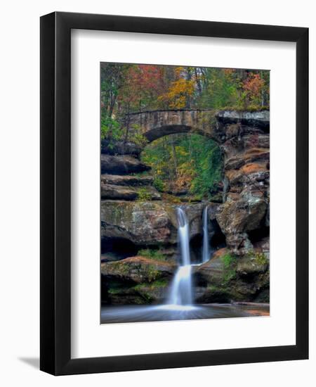 Rhynoodle-Jim Crotty-Framed Photographic Print