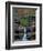 Rhynoodle-Jim Crotty-Framed Photographic Print