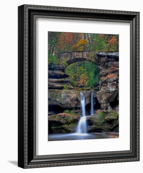 Rhynoodle-Jim Crotty-Framed Photographic Print