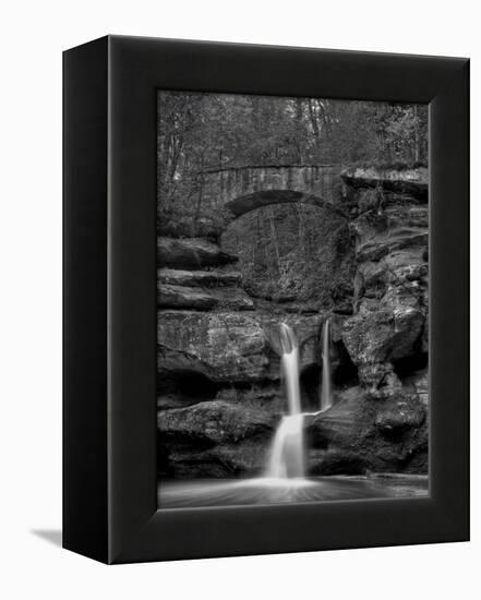 Rhynoodle-Jim Crotty-Framed Premier Image Canvas