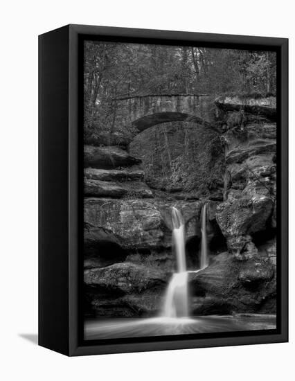 Rhynoodle-Jim Crotty-Framed Premier Image Canvas