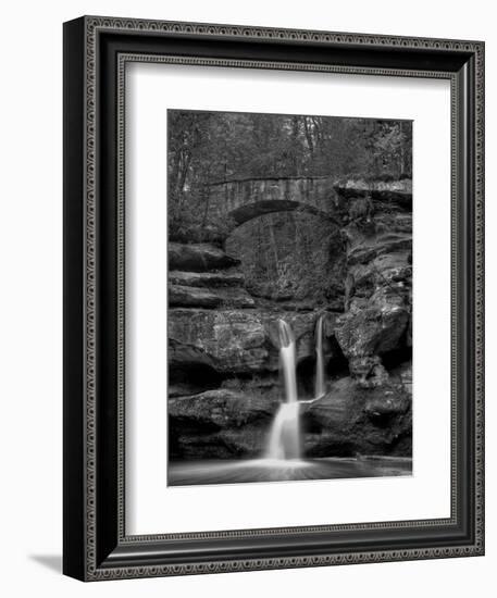 Rhynoodle-Jim Crotty-Framed Photographic Print