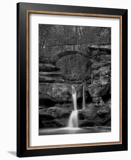 Rhynoodle-Jim Crotty-Framed Photographic Print