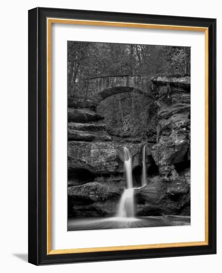 Rhynoodle-Jim Crotty-Framed Photographic Print