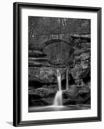 Rhynoodle-Jim Crotty-Framed Photographic Print