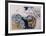 Rhythm in Blue-Yehuda Jordan-Framed Limited Edition