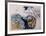 Rhythm in Blue-Yehuda Jordan-Framed Limited Edition