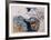 Rhythm in Blue-Yehuda Jordan-Framed Limited Edition