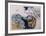 Rhythm in Blue-Yehuda Jordan-Framed Limited Edition