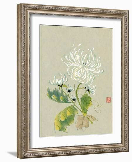 Rhythm of the Dance-Nan Rae-Framed Art Print