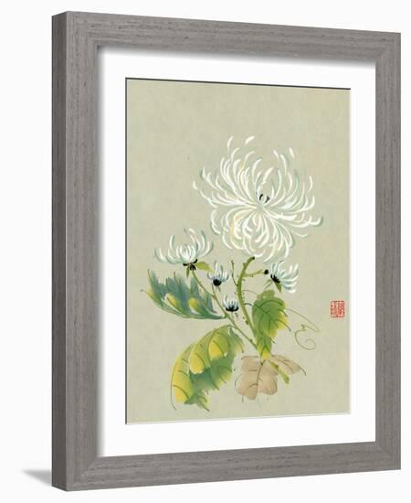 Rhythm of the Dance-Nan Rae-Framed Art Print