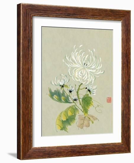 Rhythm of the Dance-Nan Rae-Framed Art Print