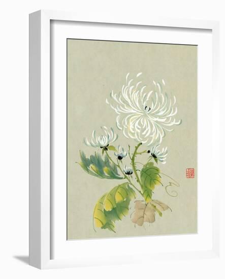 Rhythm of the Dance-Nan Rae-Framed Art Print