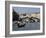 Rialto Bridge, Grand Canal, Venice, Veneto, Italy, Europe-Peter Richardson-Framed Photographic Print