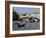 Rialto Bridge, Grand Canal, Venice, Veneto, Italy, Europe-Peter Richardson-Framed Photographic Print