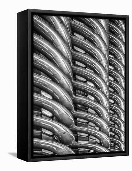 Rib Cage in Mono-Adrian Campfield-Framed Premier Image Canvas