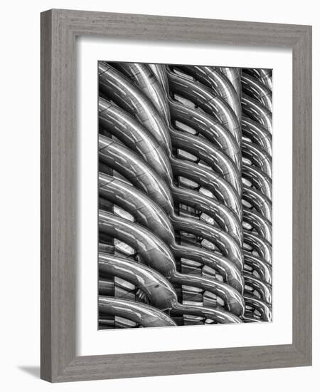 Rib Cage in Mono-Adrian Campfield-Framed Photographic Print