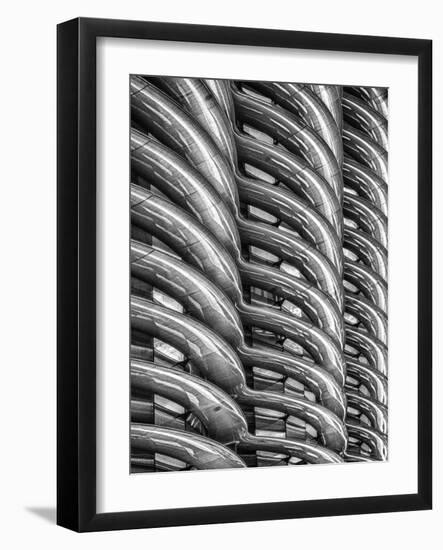 Rib Cage in Mono-Adrian Campfield-Framed Photographic Print