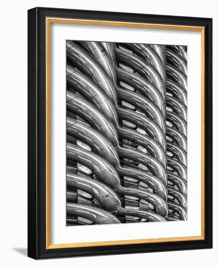 Rib Cage in Mono-Adrian Campfield-Framed Photographic Print