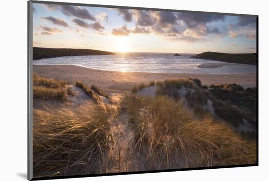 Ribbed Sand and Sand Dunes at Sunset, Crantock Beach, Crantock, Near Newquay, Cornwall-Stuart Black-Mounted Photographic Print