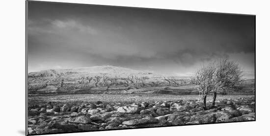 Ribblehead Viaduct-Nick Ledger-Mounted Photographic Print