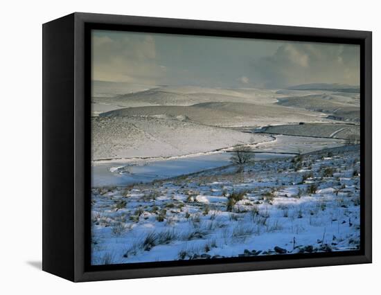 Ribblesdale, Yorkshire, England, United Kingdom-Michael Busselle-Framed Premier Image Canvas