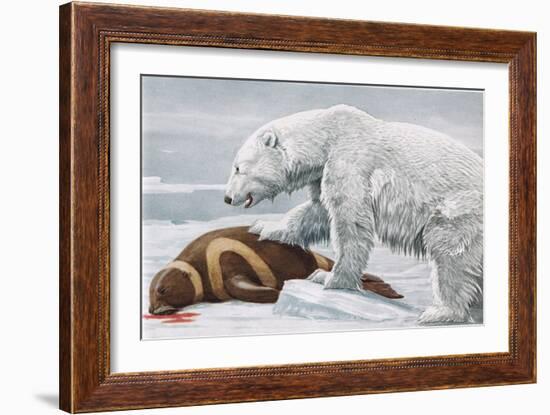 Ribbon Seal, Victim to a Polar Bear-Louis Agassiz Fuertes-Framed Giclee Print