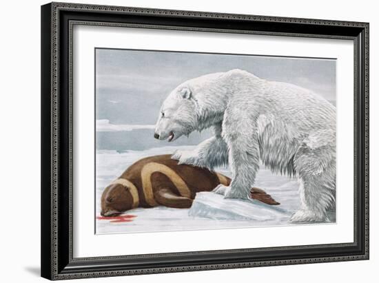 Ribbon Seal, Victim to a Polar Bear-Louis Agassiz Fuertes-Framed Giclee Print