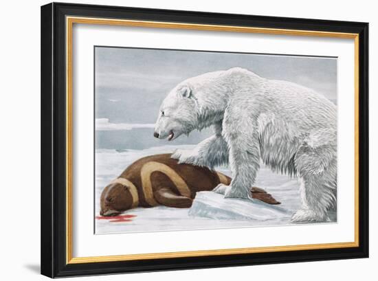 Ribbon Seal, Victim to a Polar Bear-Louis Agassiz Fuertes-Framed Giclee Print