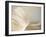 Ribbon-Jessica Rogers-Framed Giclee Print