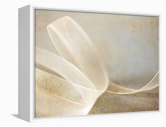 Ribbon-Jessica Rogers-Framed Premier Image Canvas