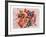 Ribbons-Harvey Edwards-Framed Collectable Print