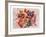 Ribbons-Harvey Edwards-Framed Collectable Print