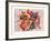 Ribbons-Harvey Edwards-Framed Collectable Print