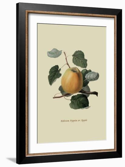 Ribston Pippin or Apple-William Hooker-Framed Art Print