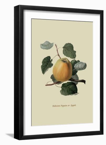 Ribston Pippin or Apple-William Hooker-Framed Art Print