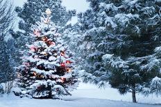 This Snow Covered Christmas Tree Stands out Brightly against the Dark Blue Tones of this Snow Cover-Ricardo Reitmeyer-Premier Image Canvas