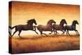 Stretched Canvas Print